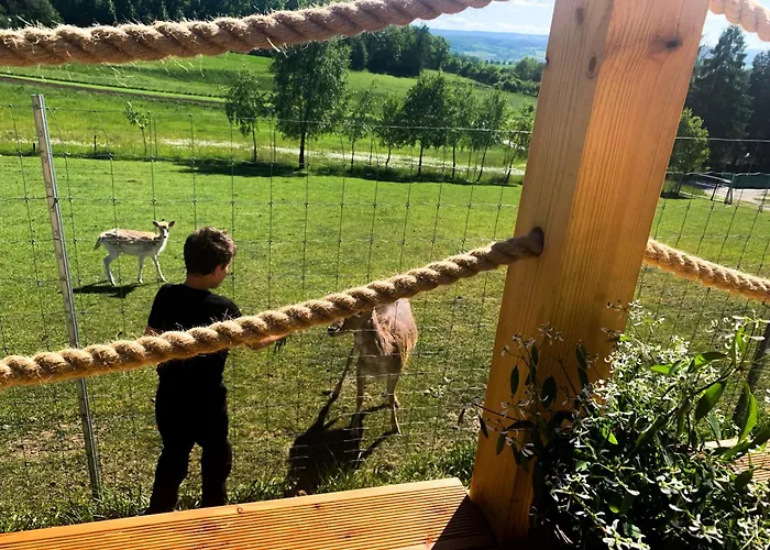 Kolodziejowo Z Jacuzzi Gory Sowie Gory Stolowe