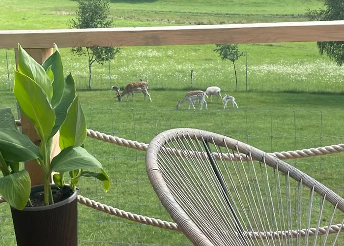 Дом отдыха Kolodziejowo Z Jacuzzi Gory Sowie Gory Stolowe