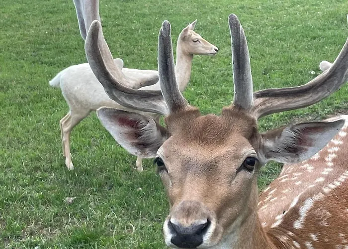 Kolodziejowo Z Jacuzzi Gory Sowie Gory Stolowe Дом отдыха *